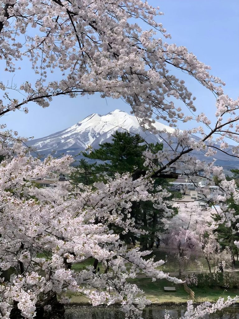 Mt Iwaki Aomori japan