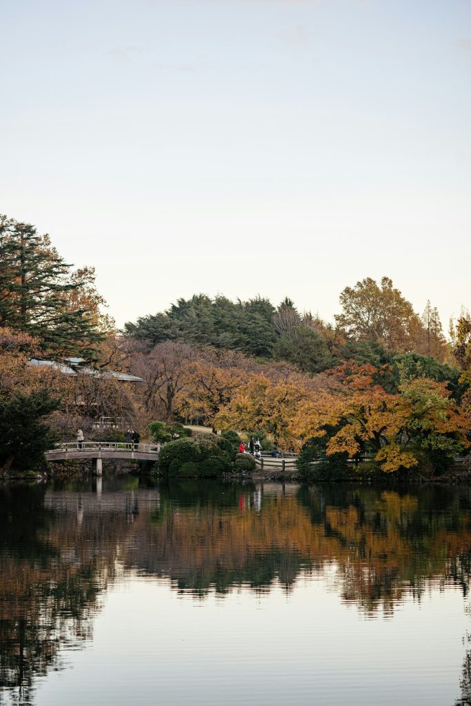Shinjuku Gyoen tokyo japan