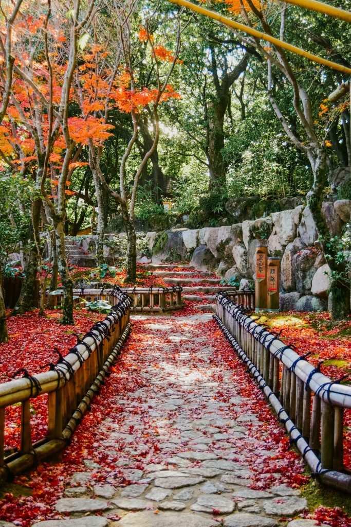 autumn foilage japan